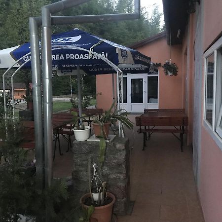 Vila Tanamera Hotel Moneasa Eksteriør billede